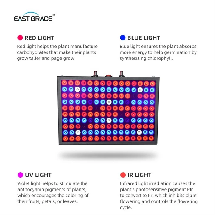 150w Dual Channel LED Grow Light Panel best