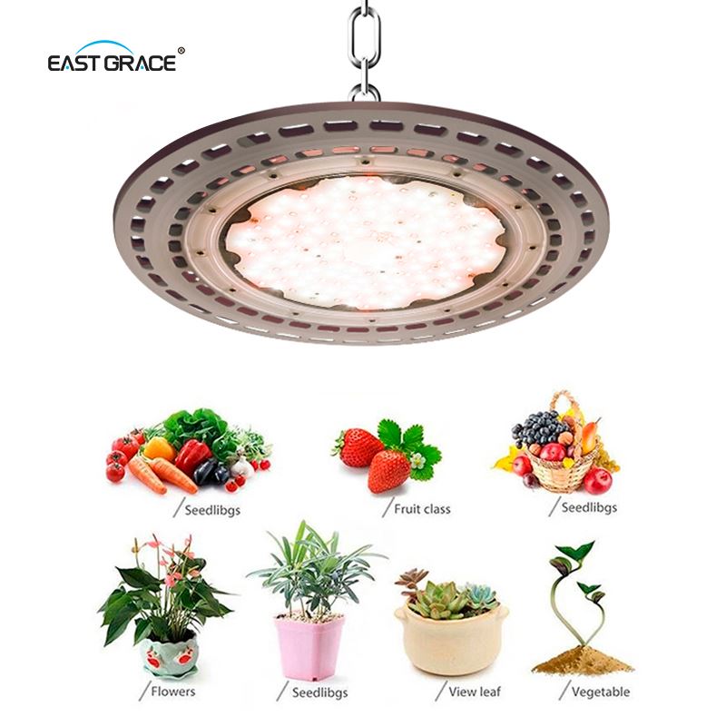 Dragon Fruit UFO LED High Bay Grow Light