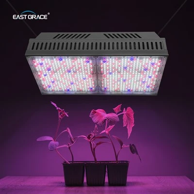 1200 W Top1930E LED svetilka za rast