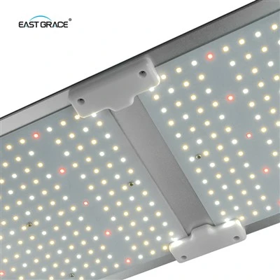 Quantum Bar Lm281b LED rastoča svetlobna tabla